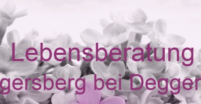 Lebensberatung Hengersberg bei Deggendorf | Top-Experten für Kartenlegen, Wahrsagen, Hellsehen, Zukunftsdeutung. Lebensberatung Hengersberg bei Deggendorf | Top-Experten für Kartenlegen, Wahrsagen, Hellsehen, Zukunftsdeutung.